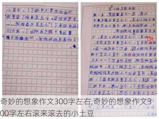 奇妙的想象作文300字左右,奇妙的想象作文300字左右滚来滚去的小土豆-第2张图片-星梦范文网