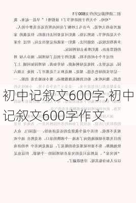 初中记叙文600字,初中记叙文600字作文-第3张图片-星梦范文网