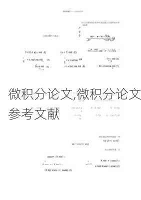 微积分论文,微积分论文参考文献-第2张图片-星梦范文网