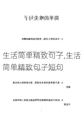 生活简单精致句子,生活简单精致句子短句-第2张图片-星梦范文网