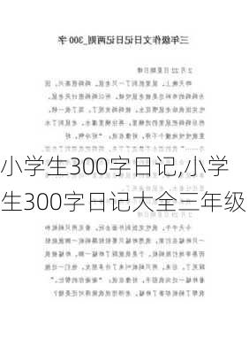 小学生300字日记,小学生300字日记大全三年级