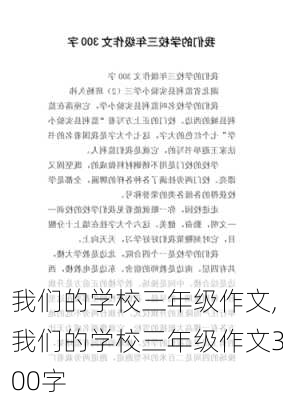 我们的学校三年级作文,我们的学校三年级作文300字-第2张图片-星梦范文网