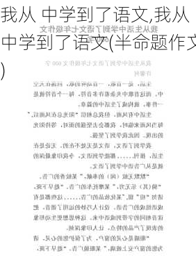 我从 中学到了语文,我从中学到了语文(半命题作文)