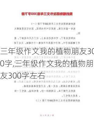 三年级作文我的植物朋友300字,三年级作文我的植物朋友300字左右-第3张图片-星梦范文网