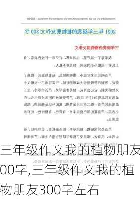 三年级作文我的植物朋友300字,三年级作文我的植物朋友300字左右