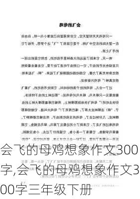 会飞的母鸡想象作文300字,会飞的母鸡想象作文300字三年级下册