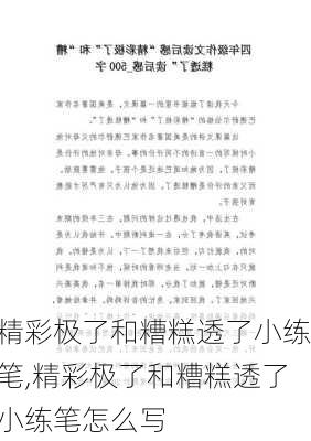 精彩极了和糟糕透了小练笔,精彩极了和糟糕透了小练笔怎么写-第2张图片-星梦范文网