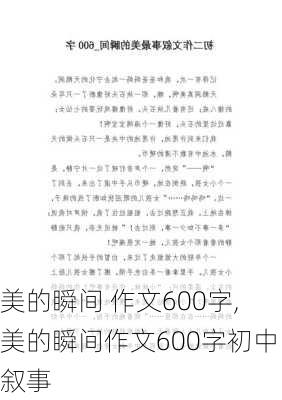 美的瞬间 作文600字,美的瞬间作文600字初中叙事-第3张图片-星梦范文网