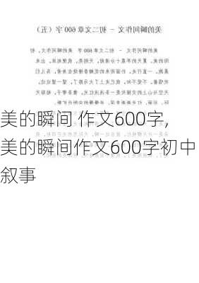 美的瞬间 作文600字,美的瞬间作文600字初中叙事-第2张图片-星梦范文网