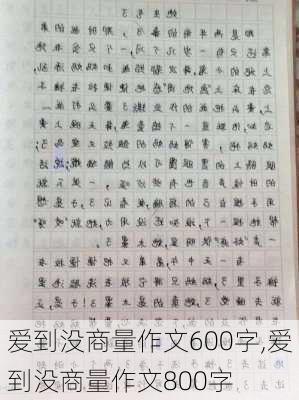 爱到没商量作文600字,爱到没商量作文800字-第3张图片-星梦范文网