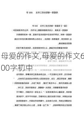 母爱的作文,母爱的作文600字初中-第2张图片-星梦范文网