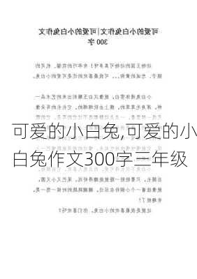 可爱的小白兔,可爱的小白兔作文300字三年级