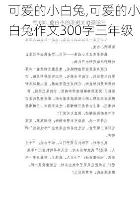 可爱的小白兔,可爱的小白兔作文300字三年级-第3张图片-星梦范文网