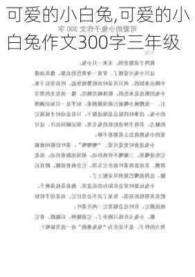 可爱的小白兔,可爱的小白兔作文300字三年级-第2张图片-星梦范文网