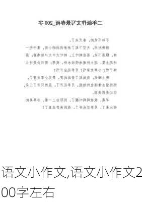 语文小作文,语文小作文200字左右