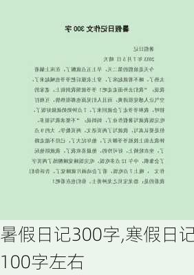 暑假日记300字,寒假日记100字左右