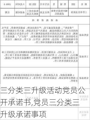 三分类三升级活动党员公开承诺书,党员三分类三升级承诺事项-第3张图片-星梦范文网