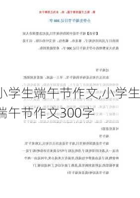 小学生端午节作文,小学生端午节作文300字-第2张图片-星梦范文网