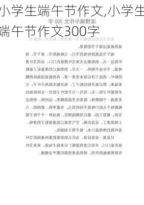 小学生端午节作文,小学生端午节作文300字-第3张图片-星梦范文网