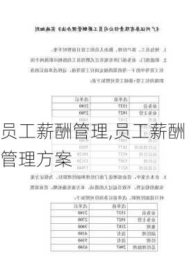 员工薪酬管理,员工薪酬管理方案-第2张图片-星梦范文网