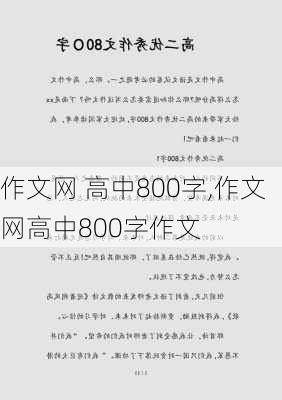 作文网 高中800字,作文网高中800字作文