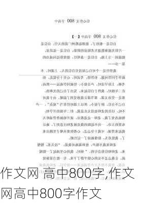 作文网 高中800字,作文网高中800字作文-第2张图片-星梦范文网