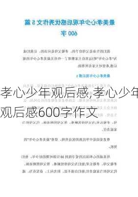 孝心少年观后感,孝心少年观后感600字作文