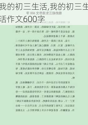 我的初三生活,我的初三生活作文600字