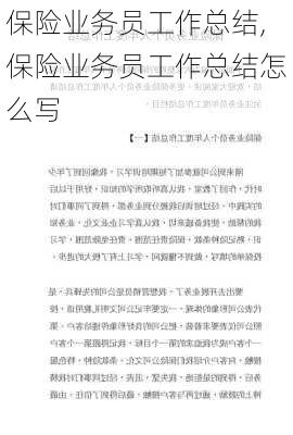 保险业务员工作总结,保险业务员工作总结怎么写-第2张图片-星梦范文网