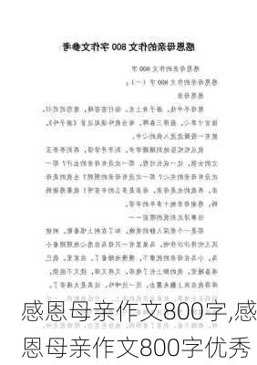 感恩母亲作文800字,感恩母亲作文800字优秀-第3张图片-星梦范文网