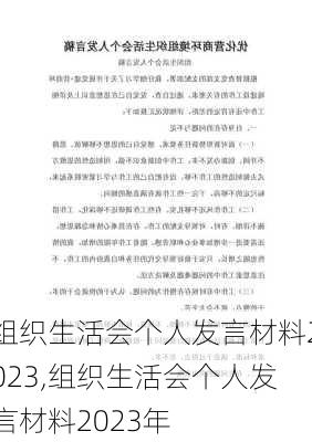 组织生活会个人发言材料2023,组织生活会个人发言材料2023年