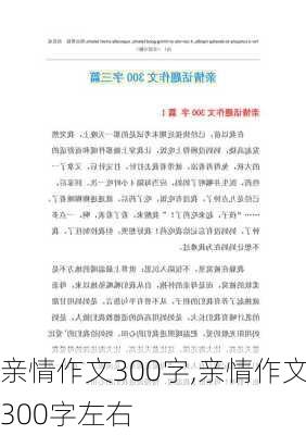 亲情作文300字,亲情作文300字左右-第3张图片-星梦范文网