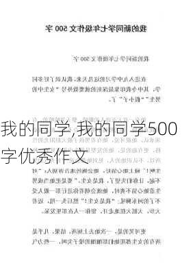 我的同学,我的同学500字优秀作文