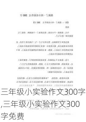 三年级小实验作文300字,三年级小实验作文300字免费-第2张图片-星梦范文网