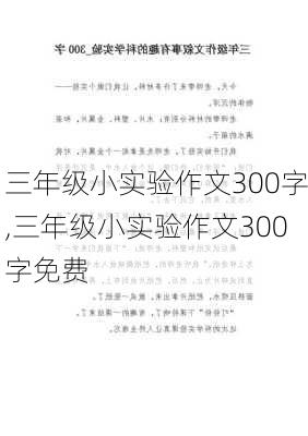 三年级小实验作文300字,三年级小实验作文300字免费