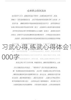 习武心得,练武心得体会1000字-第1张图片-星梦范文网