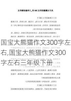 国宝大熊猫作文300字左右,国宝大熊猫作文300字左右三年级下册-第1张图片-星梦范文网