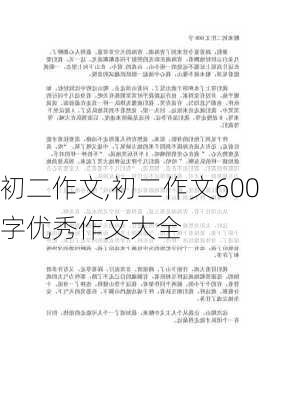 初二作文,初二作文600字优秀作文大全-第3张图片-星梦范文网