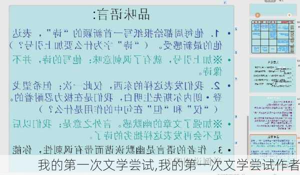 我的第一次文学尝试,我的第一次文学尝试作者-第1张图片-星梦范文网