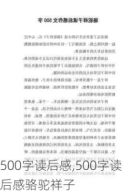 500字读后感,500字读后感骆驼祥子-第2张图片-星梦范文网