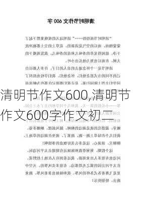 清明节作文600,清明节作文600字作文初二-第2张图片-星梦范文网