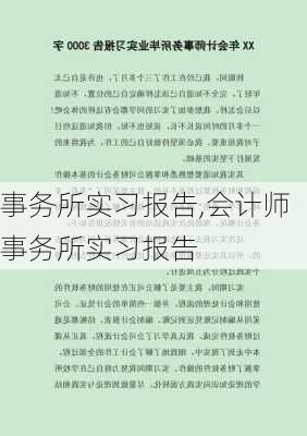 事务所实习报告,会计师事务所实习报告