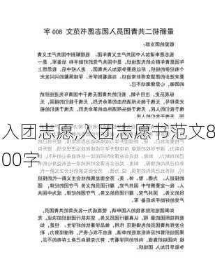 入团志愿,入团志愿书范文800字-第2张图片-星梦范文网