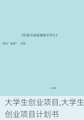 大学生创业项目,大学生创业项目计划书-第3张图片-星梦范文网