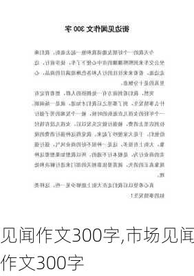 见闻作文300字,市场见闻作文300字-第2张图片-星梦范文网