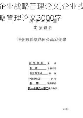 企业战略管理论文,企业战略管理论文3000字