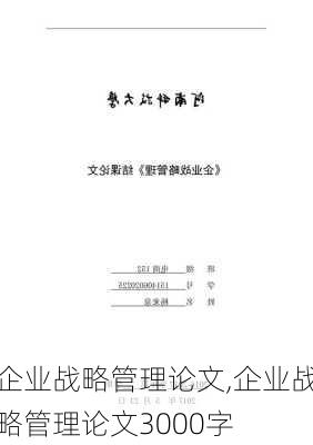 企业战略管理论文,企业战略管理论文3000字-第3张图片-星梦范文网