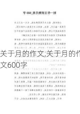 关于月的作文,关于月的作文600字