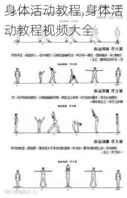 身体活动教程,身体活动教程视频大全-第3张图片-星梦范文网