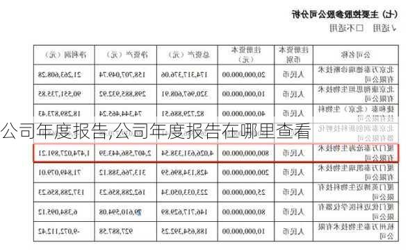 公司年度报告,公司年度报告在哪里查看-第2张图片-星梦范文网